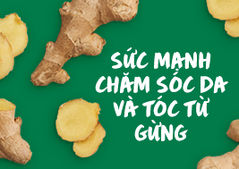SỨC MẠNH CHĂM SÓC DA VÀ TÓC TỪ GỪNG